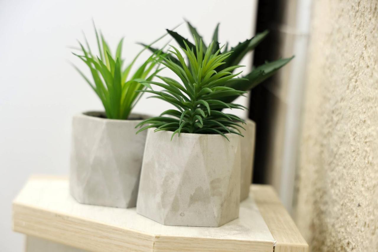 Apartment Alexandar ポドゴリツァ エクステリア 写真