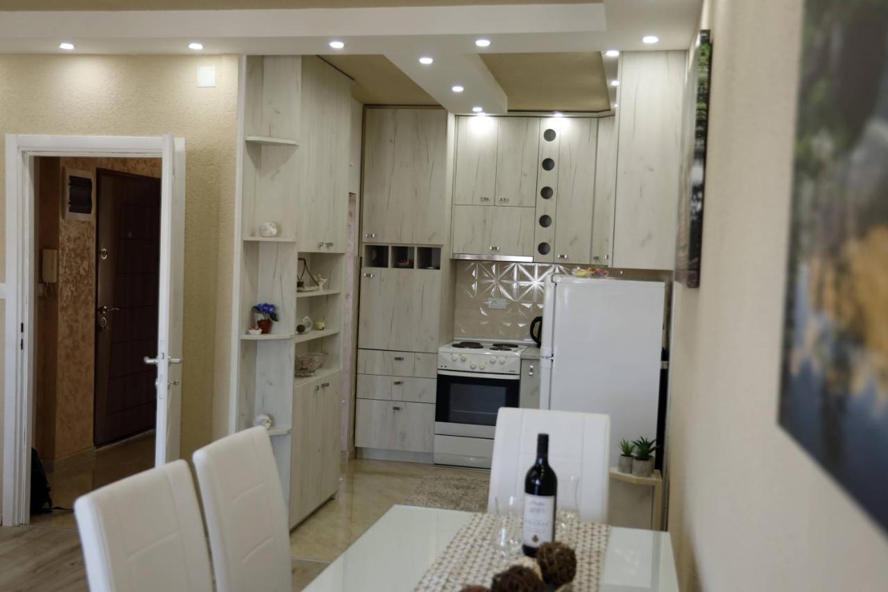 Apartment Alexandar ポドゴリツァ エクステリア 写真